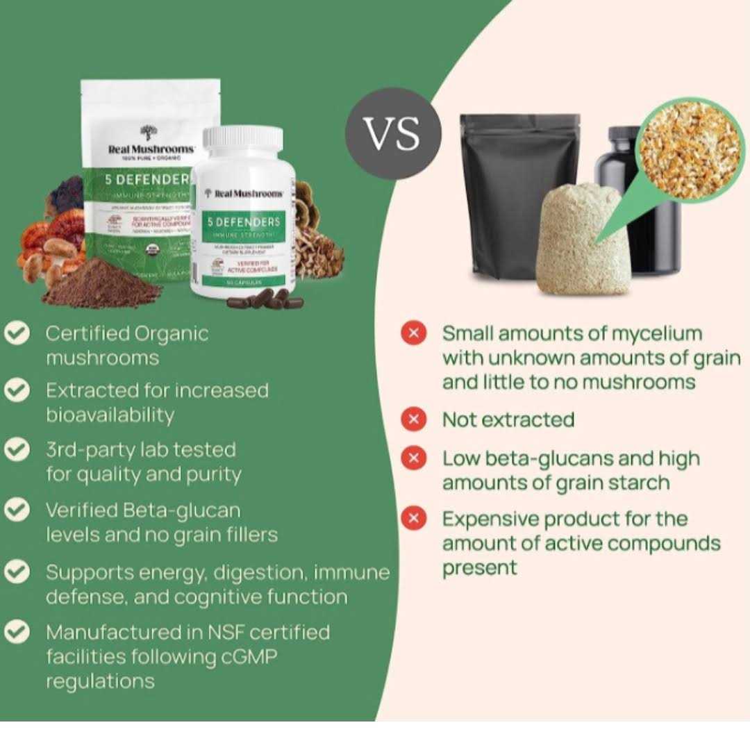 Organic Mushroom Blend E618160