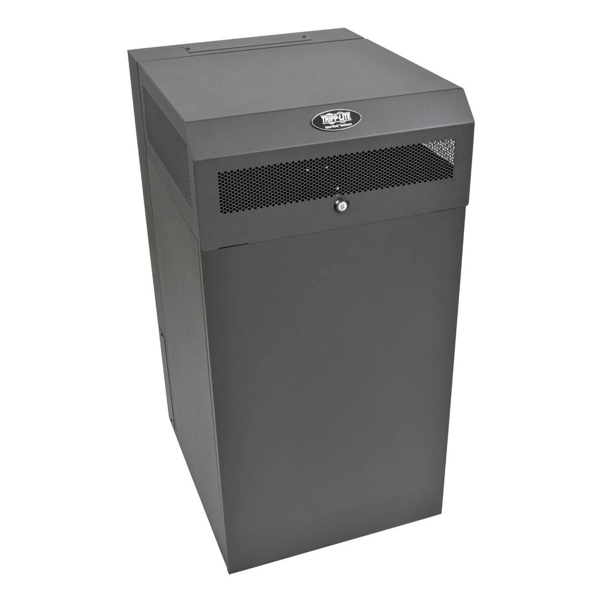 16U Wallmount Rack Enclosure Server Cabinet Y620218