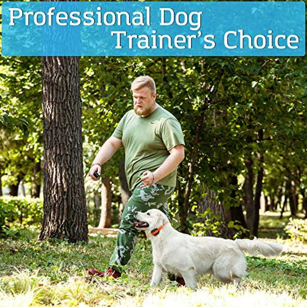 Dog Training Shock Collar with Vibration Shock and Beep W6504