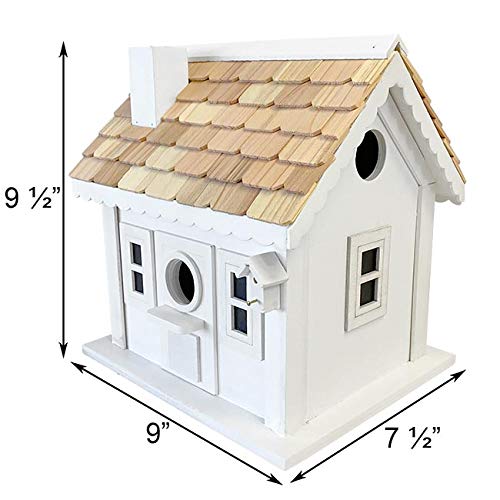 Condo Bird House P2156