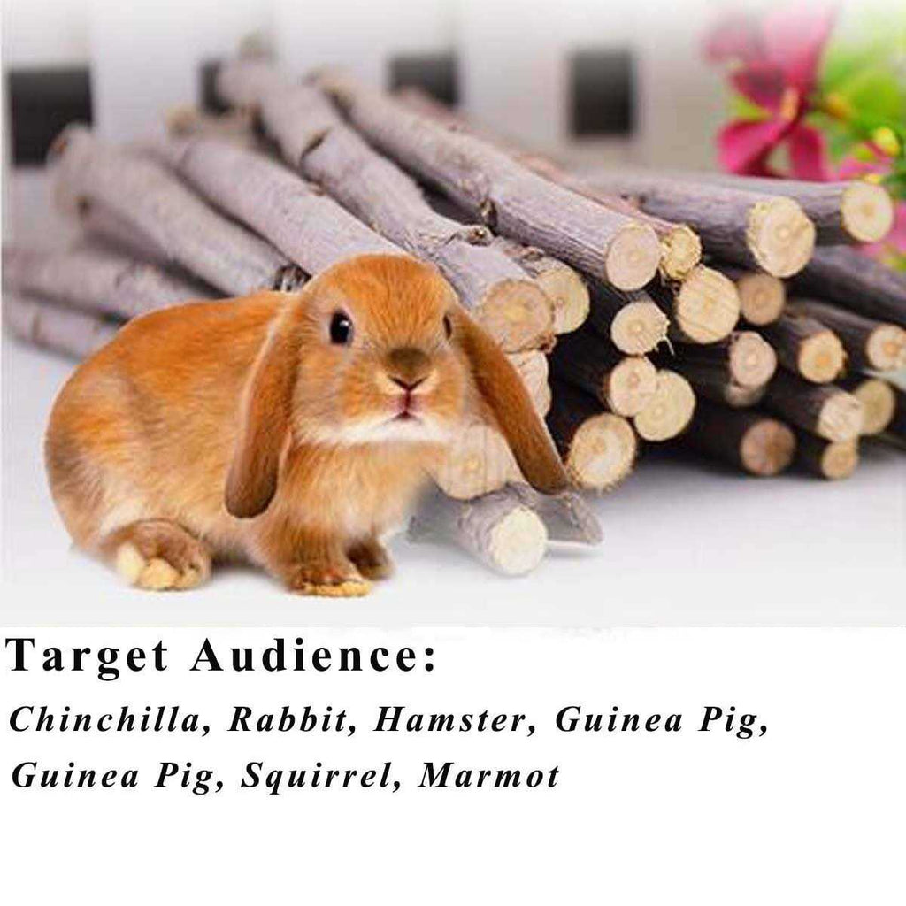 Organic Apple Sticks Chew Toys for Rabbits Guinea Pigs Chinchilla Hamster Small Animals F499