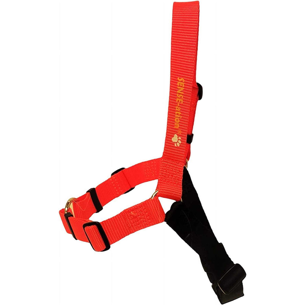 No Pull Dog Harness E31849