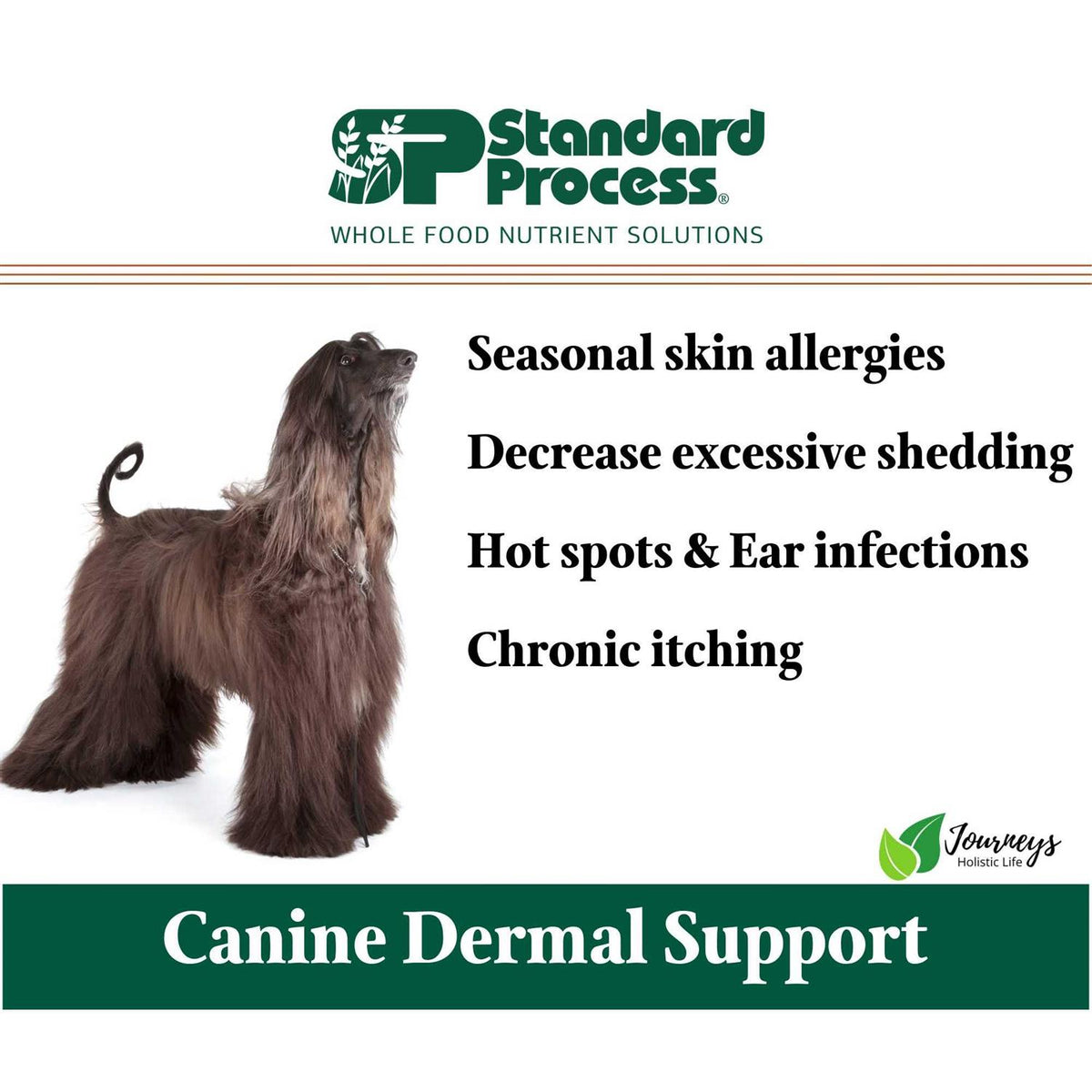 Canine Dermal Support Pet Supplies W58628