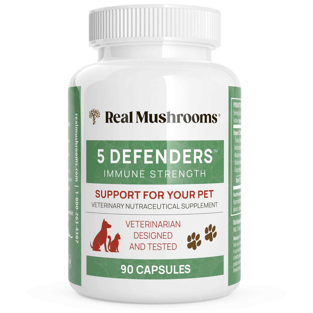 Organic Mushroom Blend E618160
