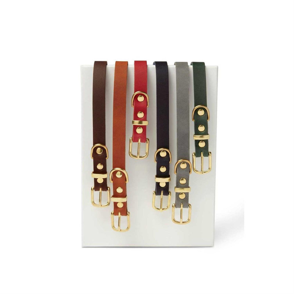 Leather Dog Collar B521644