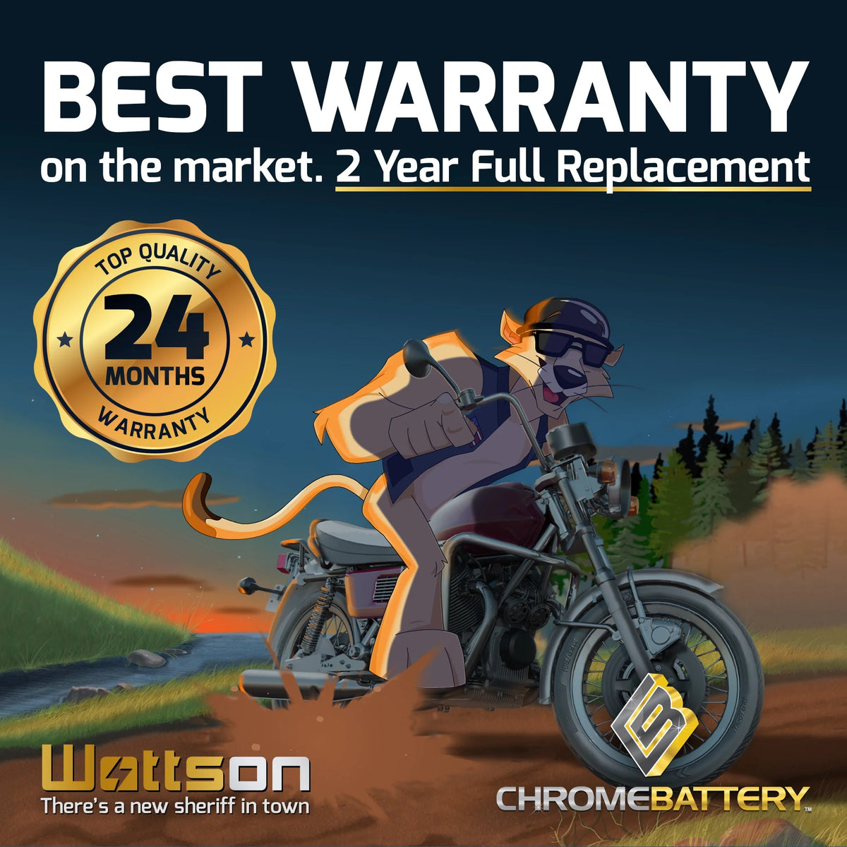 12 Volt 14 Ah 230 CCA ATV Battery V14115