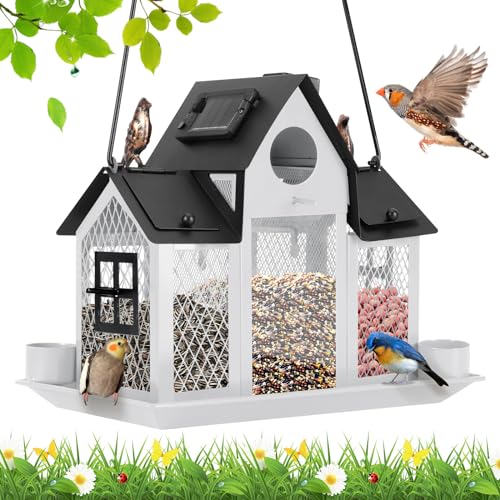 Hanging Metal Squirrel Proof Bird Feeder B40416