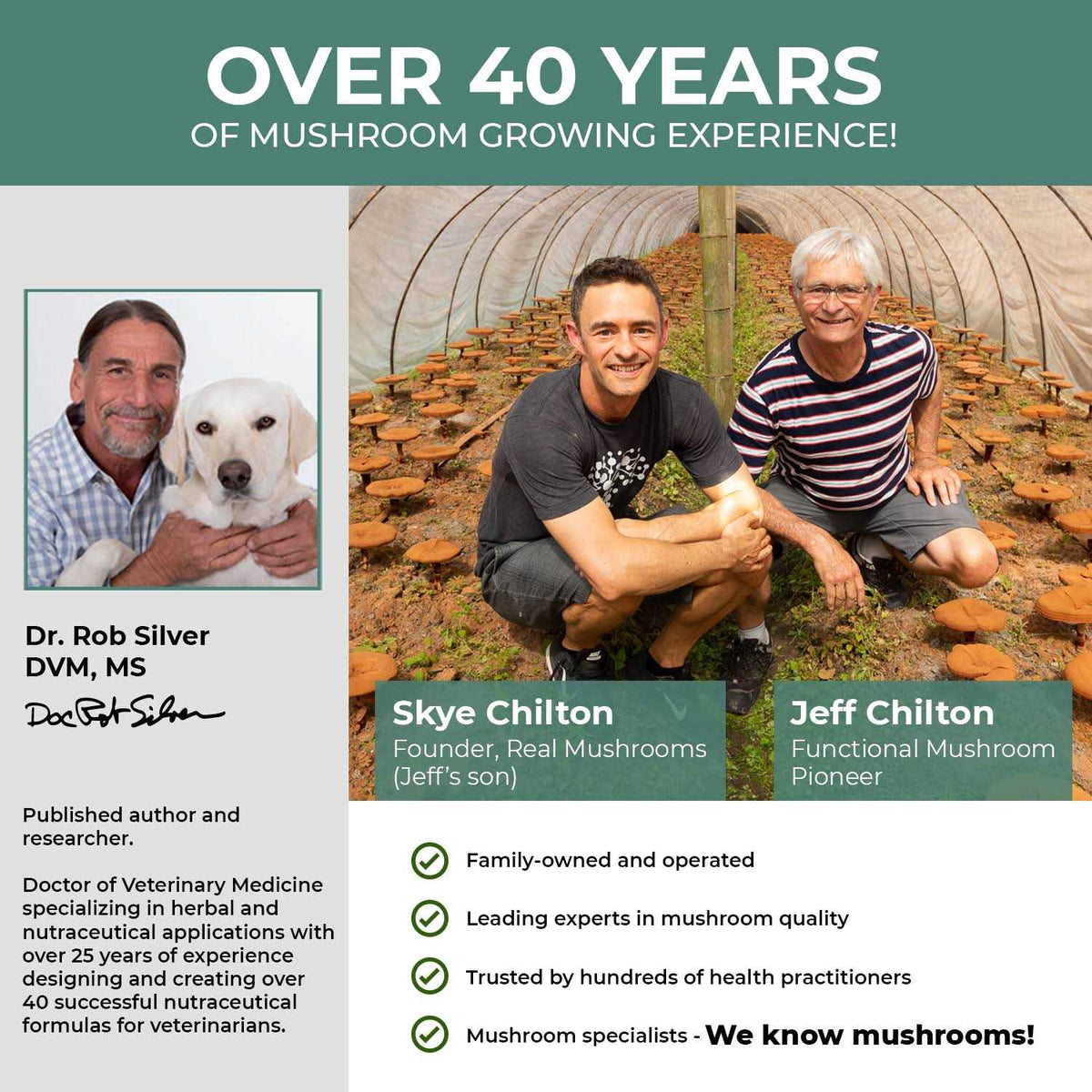 Organic Mushroom Blend E618160