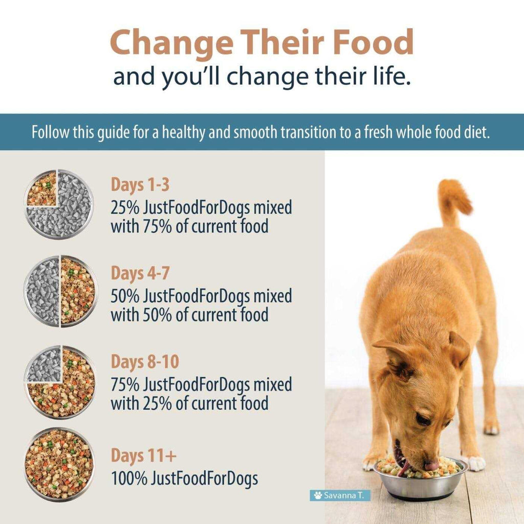 Frozen Fresh Dog Food K98615