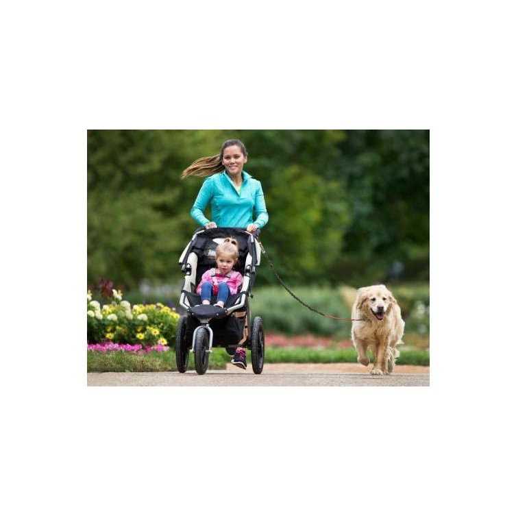Hands Free Dog Leash F682378