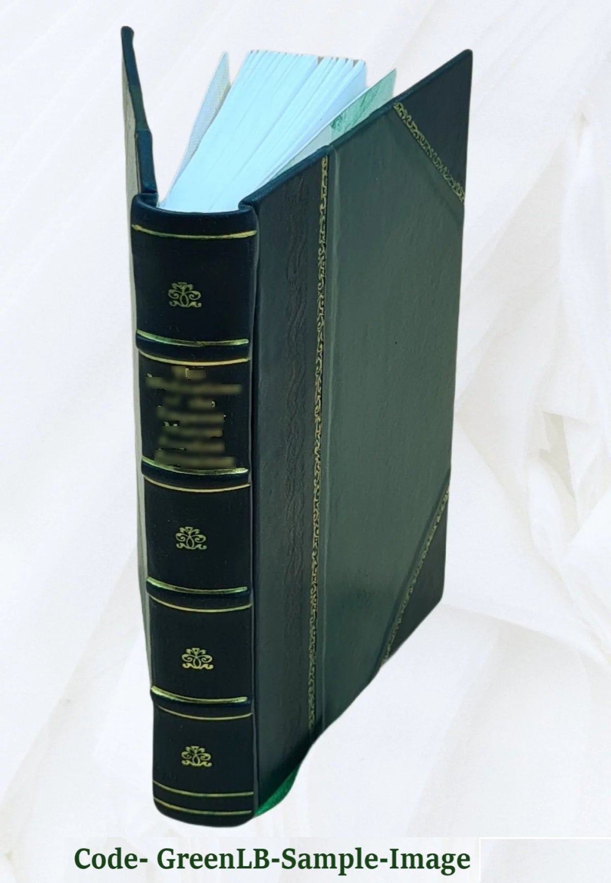 Leather Bound Book P300511