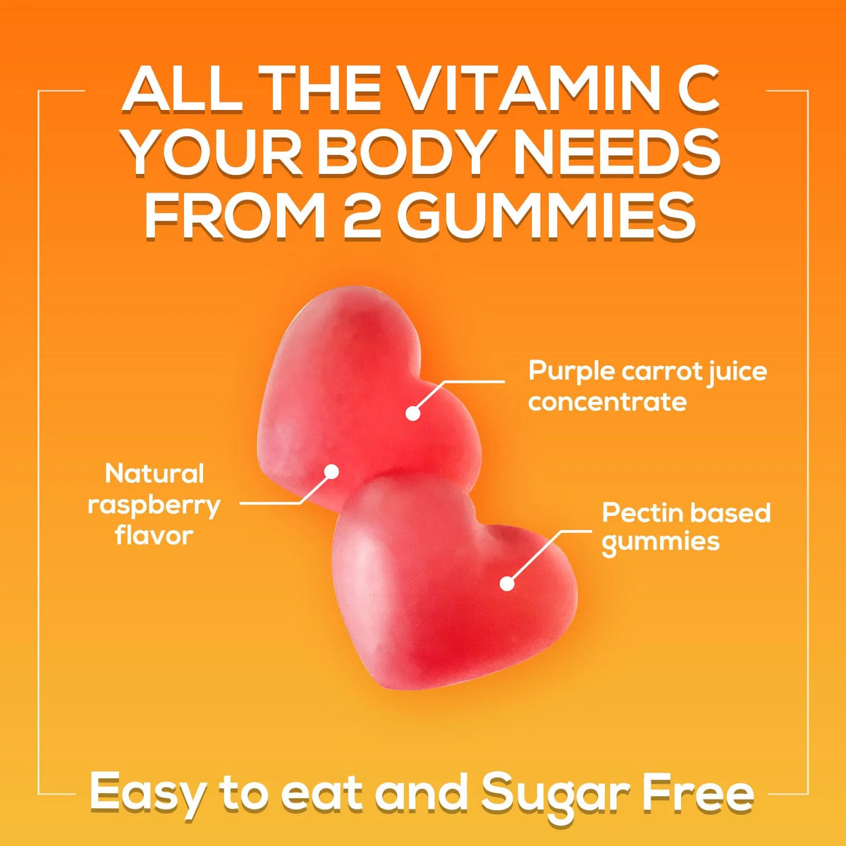 Sugar Free Vitamin C Gummies - Vegan, Non-GMO, Dairy & Gluten Free - Raspberry Flavor - 120 Count R16543