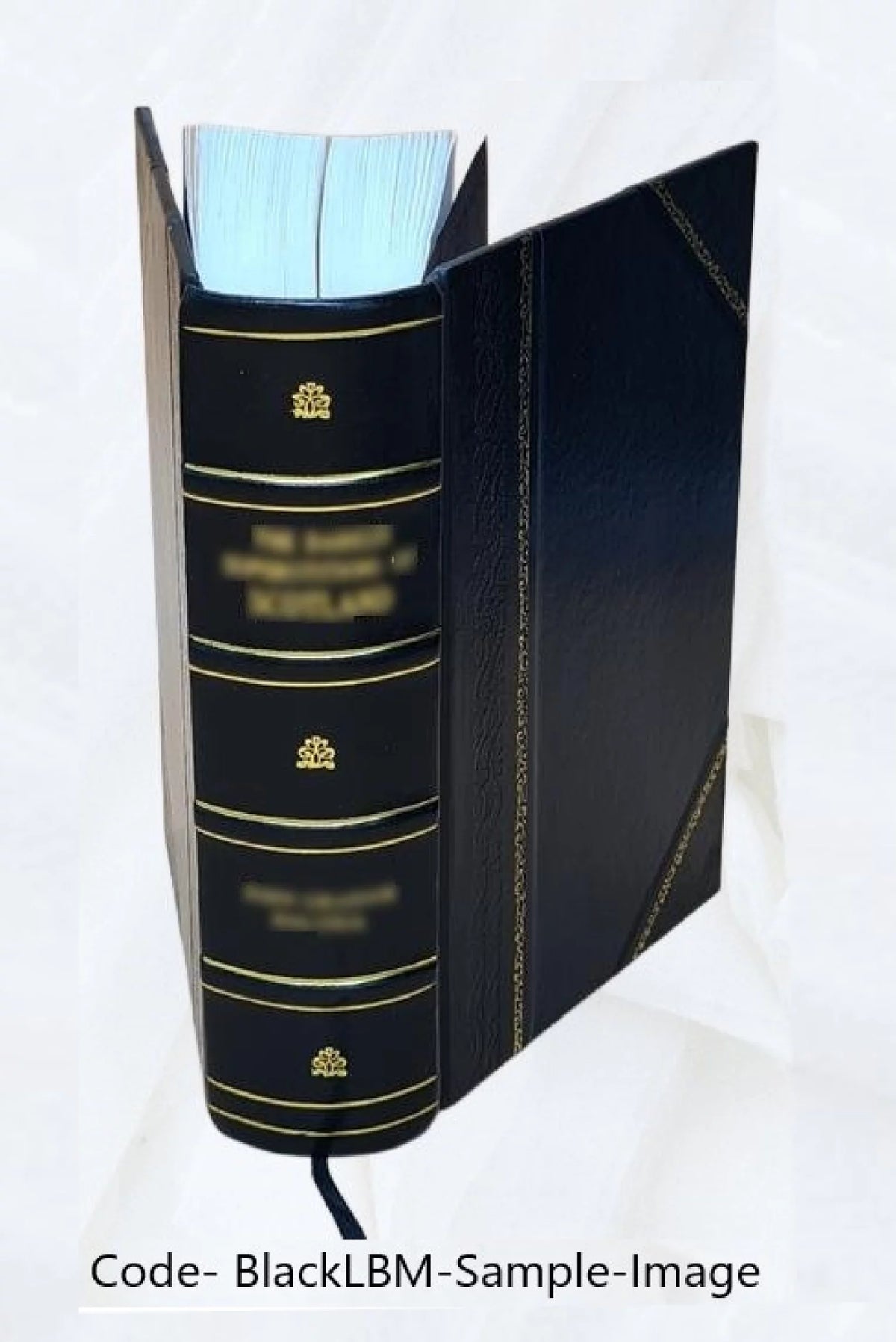 Leather Bound Book Q257