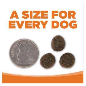 Grain Free Venison Red Lentils Dog Food L43482