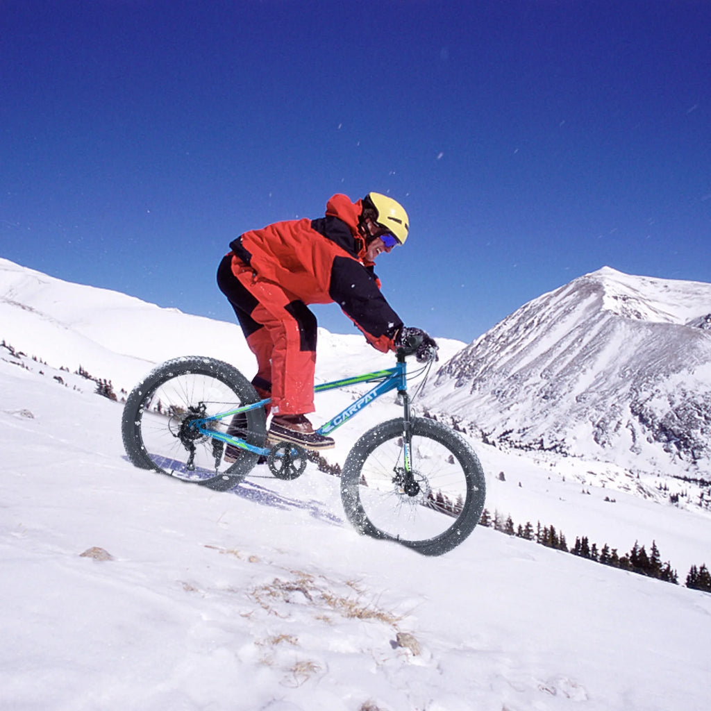 24 Inch Fat Tire Bike 7 Speeds Mountain Bike U832835