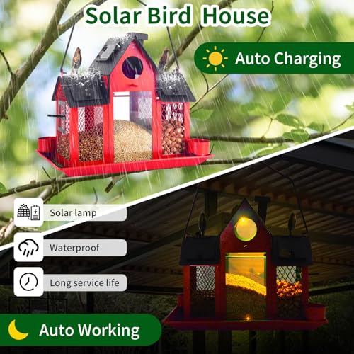Hanging Metal Squirrel Proof Bird Feeder B40416