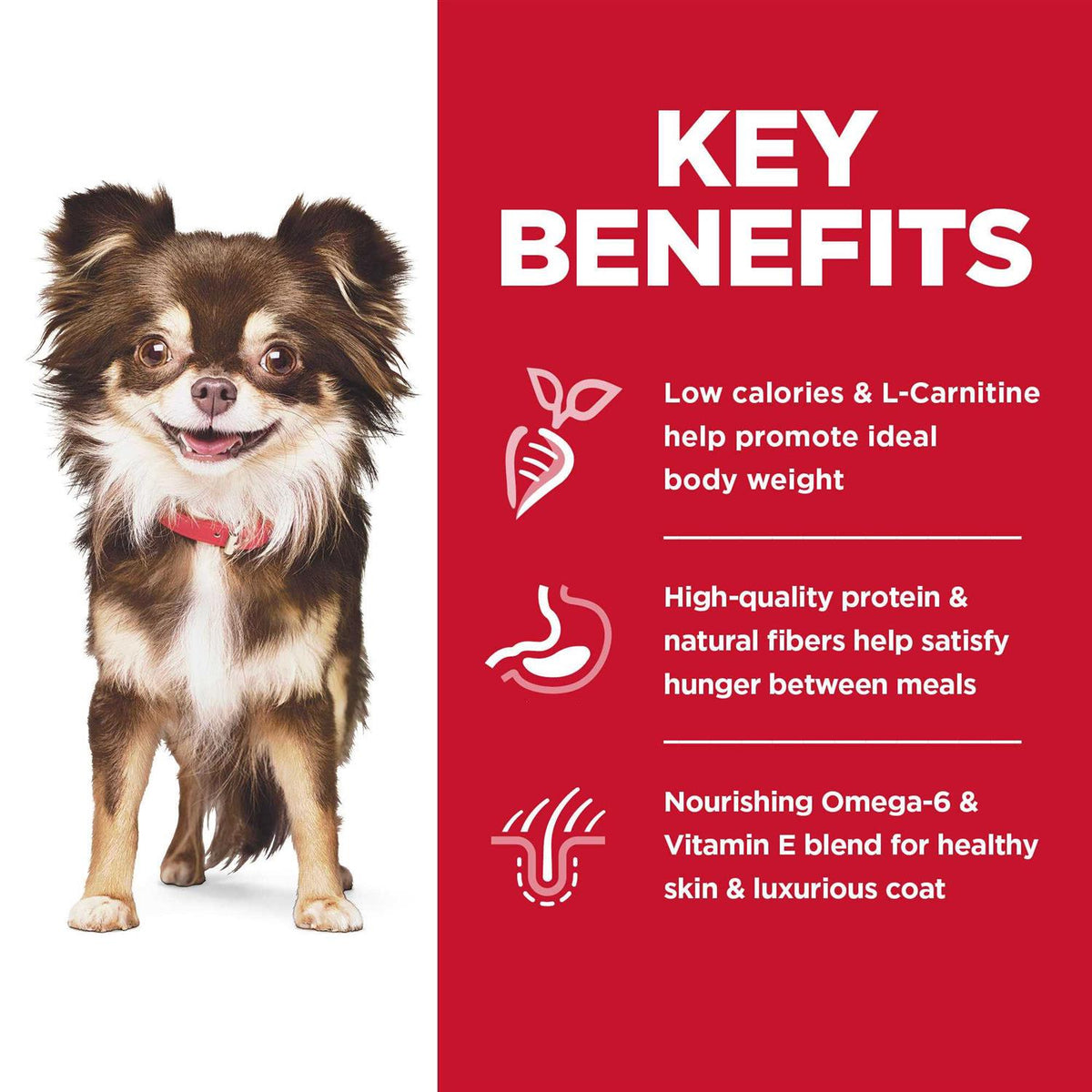 Chicken Dry Dog Food E342