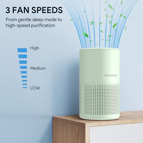 H13 True HEPA Air Purifier with Night Light W3924