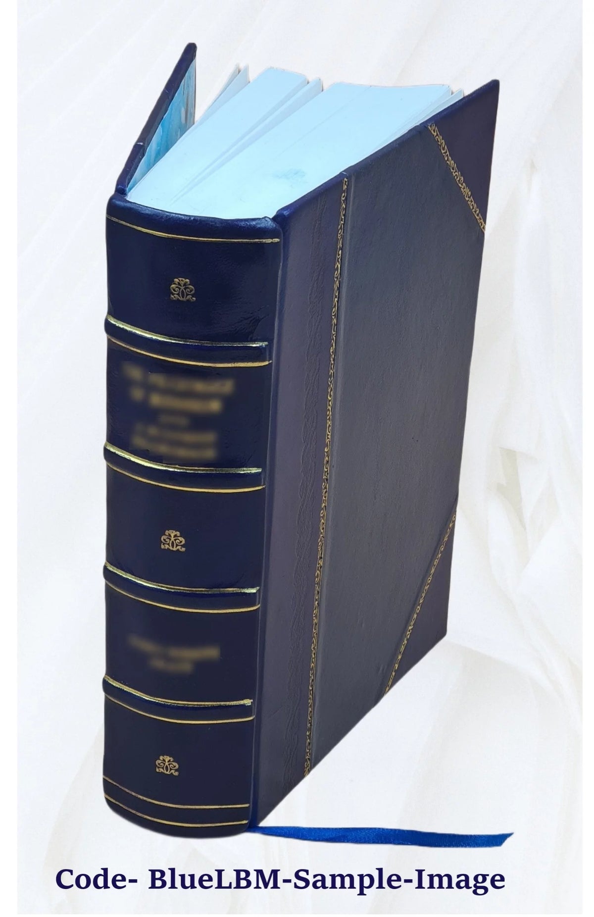 Leather Bound Book Q257