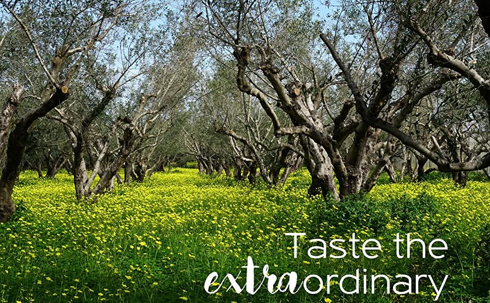 Greek Extra Virgin Olive Oil 3 Ltr Tin K152
