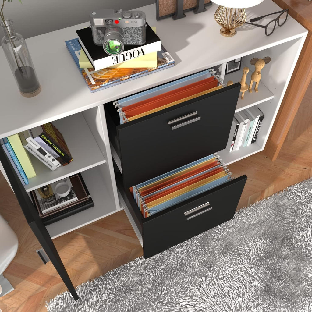 2 Drawer Mobile Lateral File Cabinet with Adjustable Shelf D822096