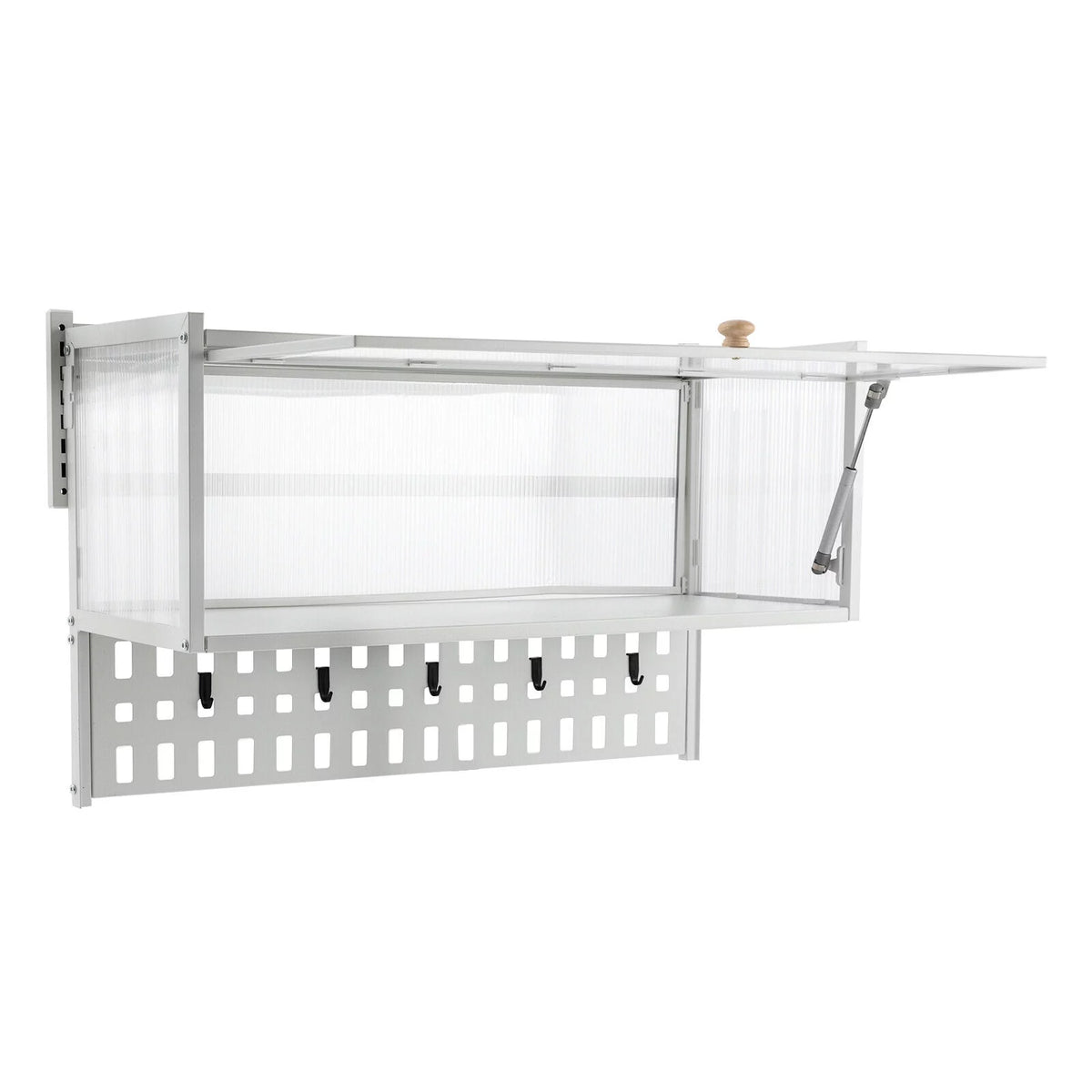 Wall Mounted Cabinet with 5x Hooks W3746