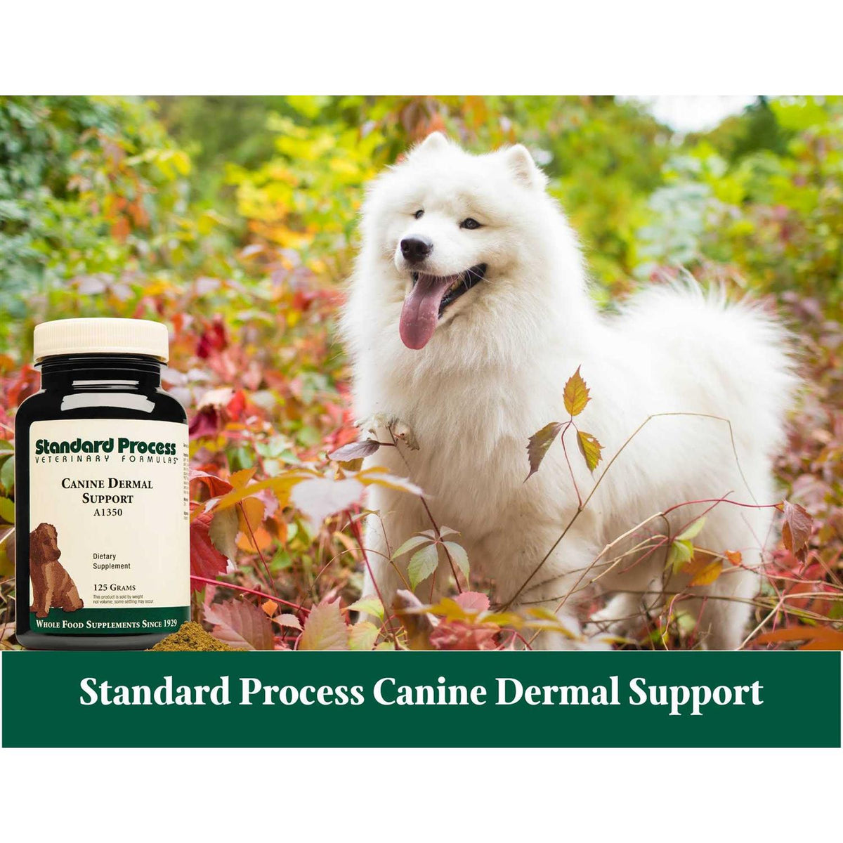 Canine Dermal Support Pet Supplies W58628