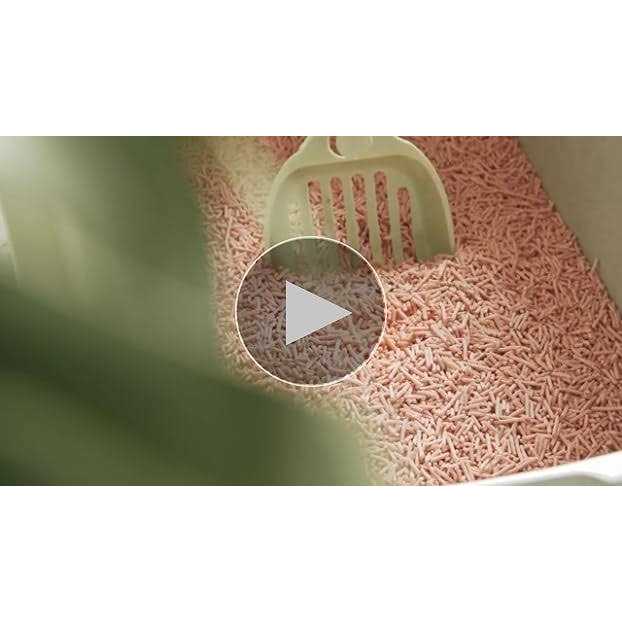 Tofu Cat Litter Clumping C45604