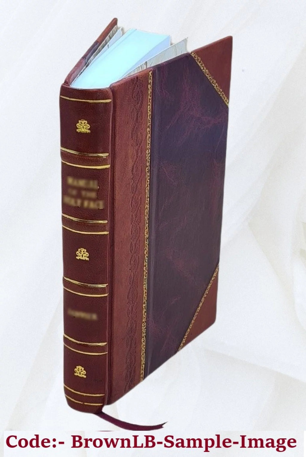 Leather Bound Book P300511