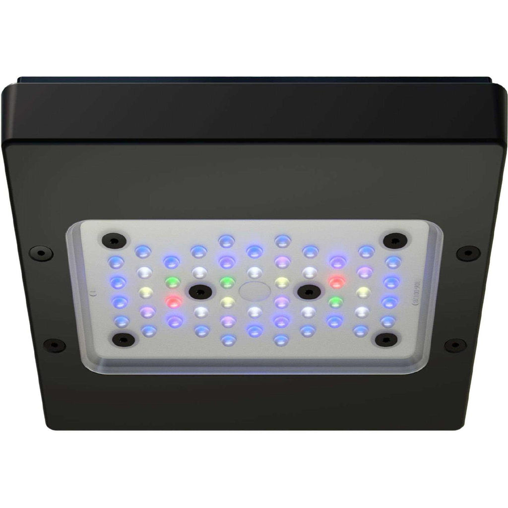 LED Light Fixture H674318