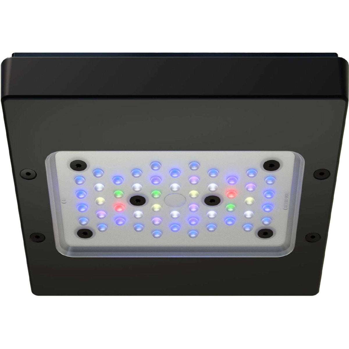 LED Light Fixture H674318