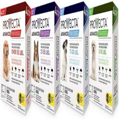Advanced 4 Doses for Dogs G132