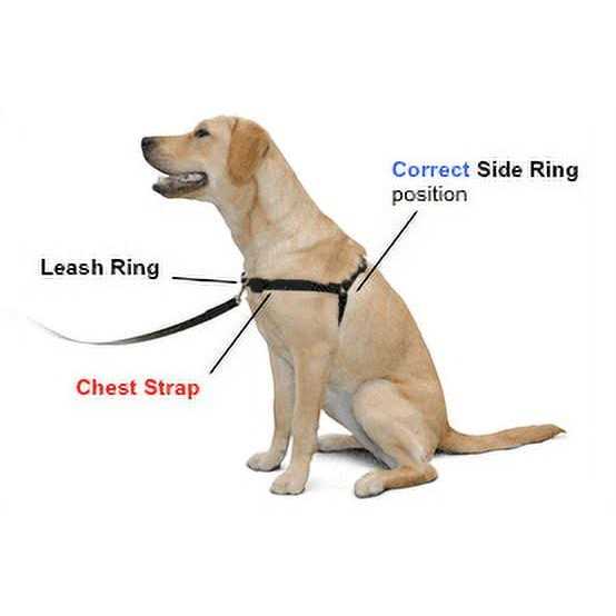 No Pull Dog Harness E31849