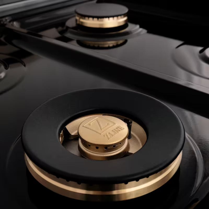 9 Burner Double Oven Dual Fuel Range with Brass Burners in Stainless Steel Q69763