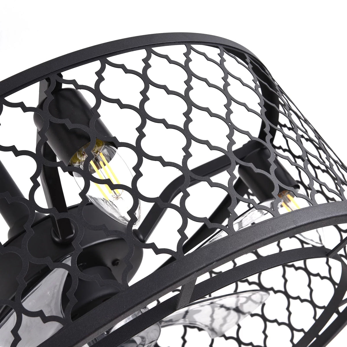 20 inch 5-Blades Caged Ceiling Fan with Light and Remote Matte Black S62669