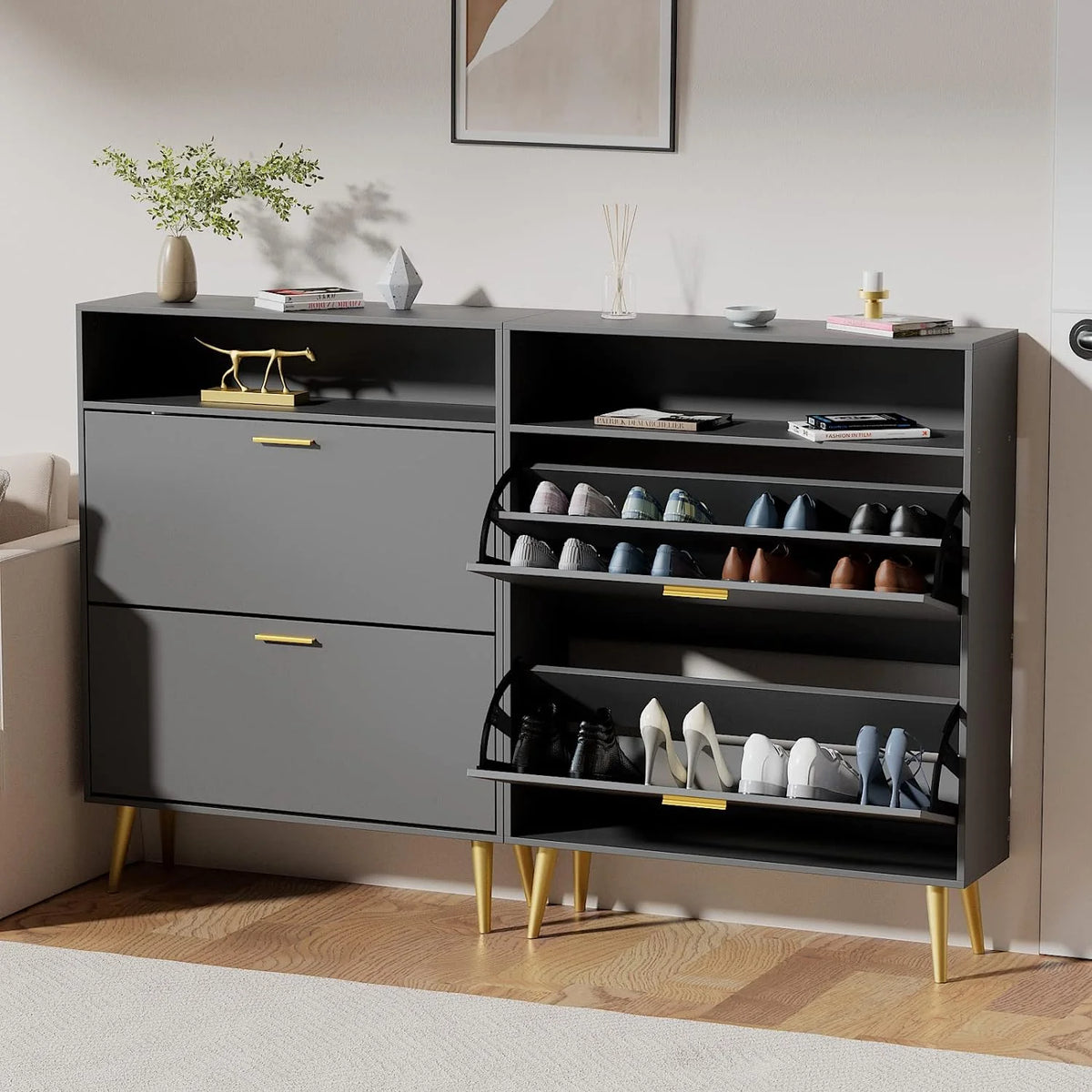 Black Narrow Shoe Cabinet with 2 Flip Drawers O56551