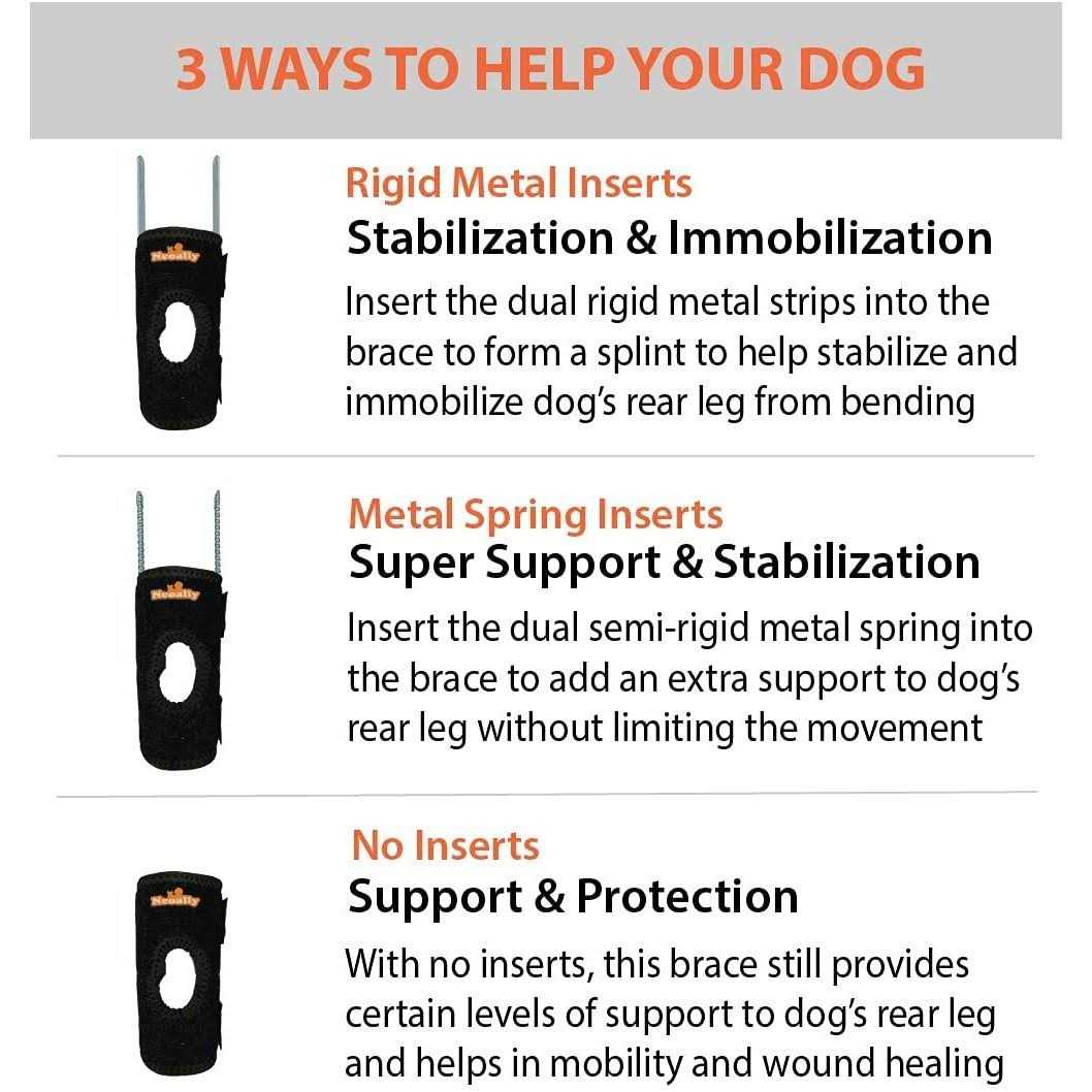 Small Dog Rear Leg Support Splint Braces G41791