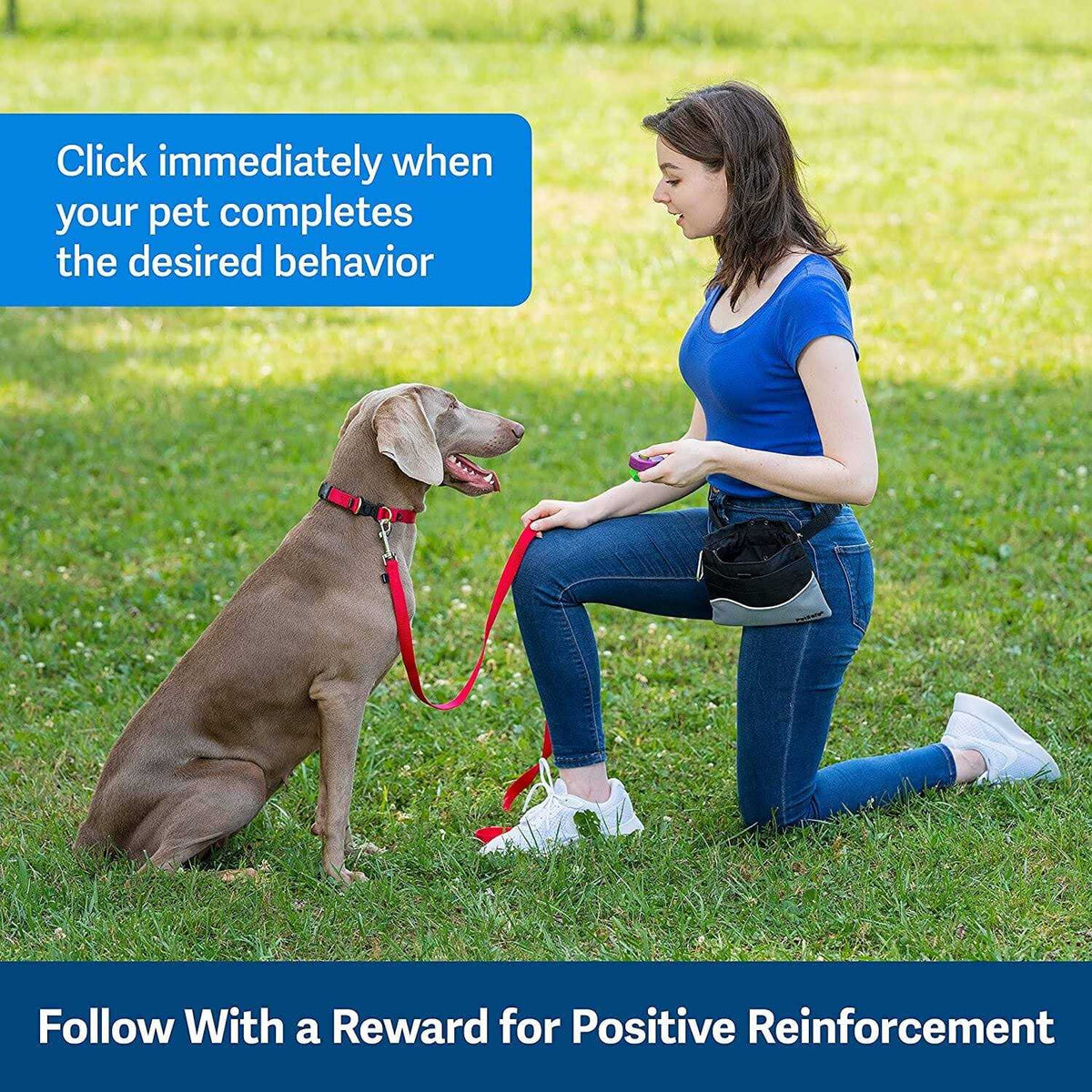 Dog Training Clicker X570
