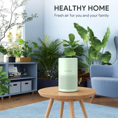 H13 True HEPA Air Purifier with Night Light W3924