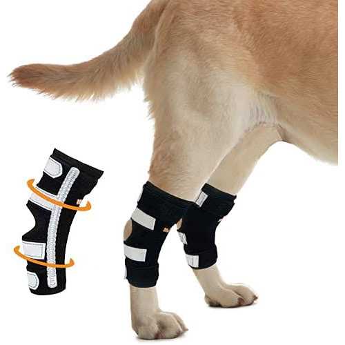 Dog Rear Leg Hock Metal Spring Strips Y2736
