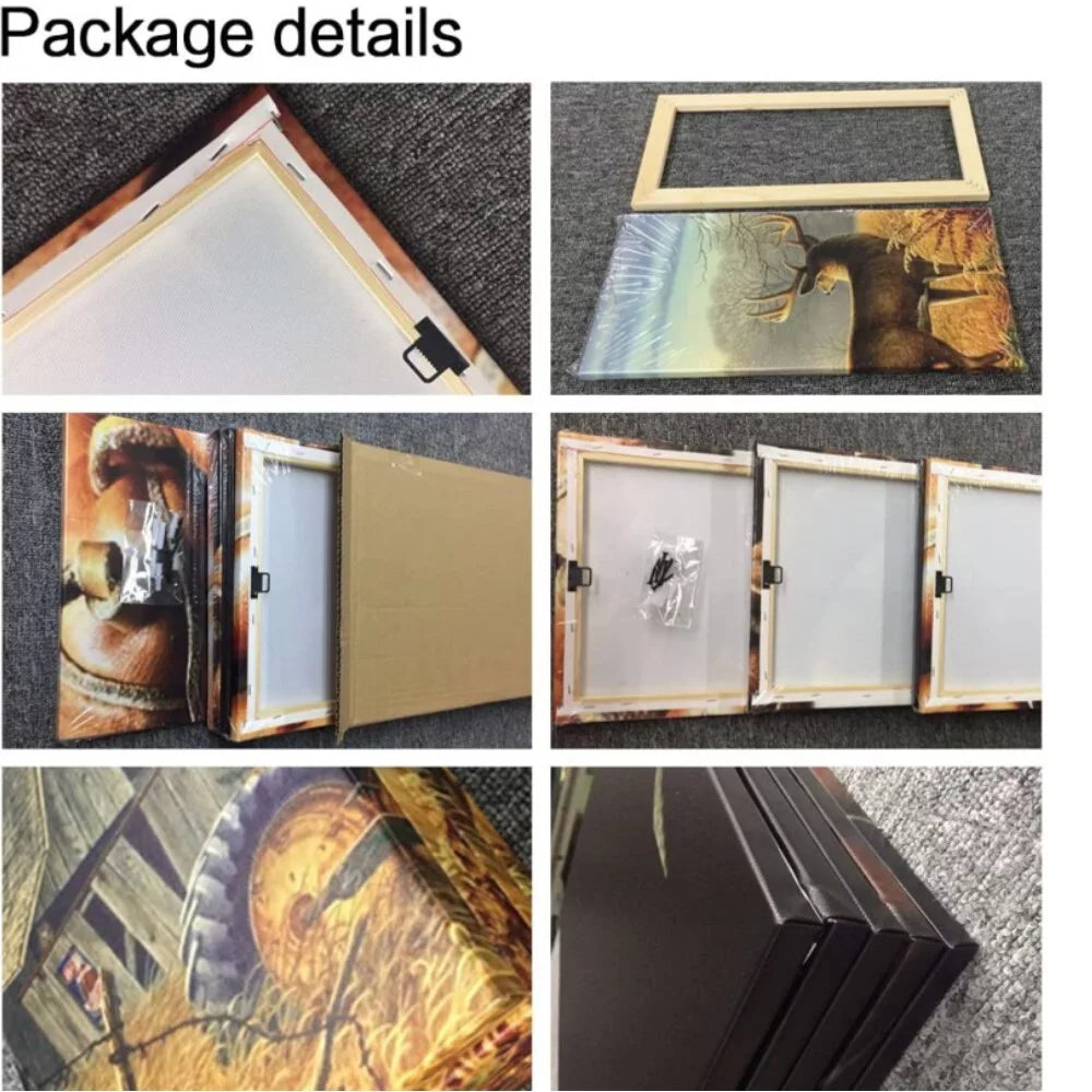 Framed Canvas Wall Art Set V128