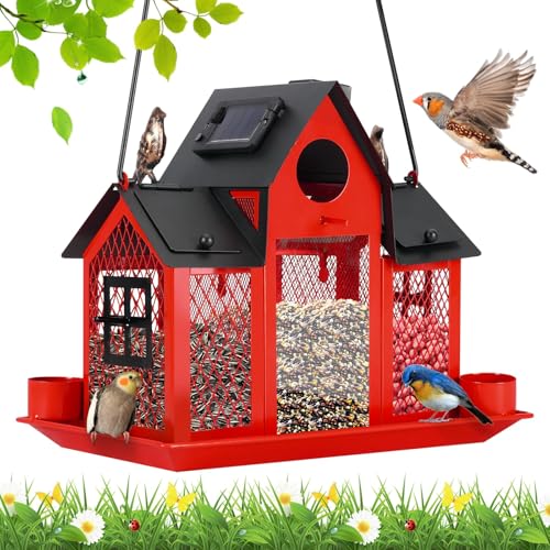 Hanging Metal Squirrel Proof Bird Feeder B40416