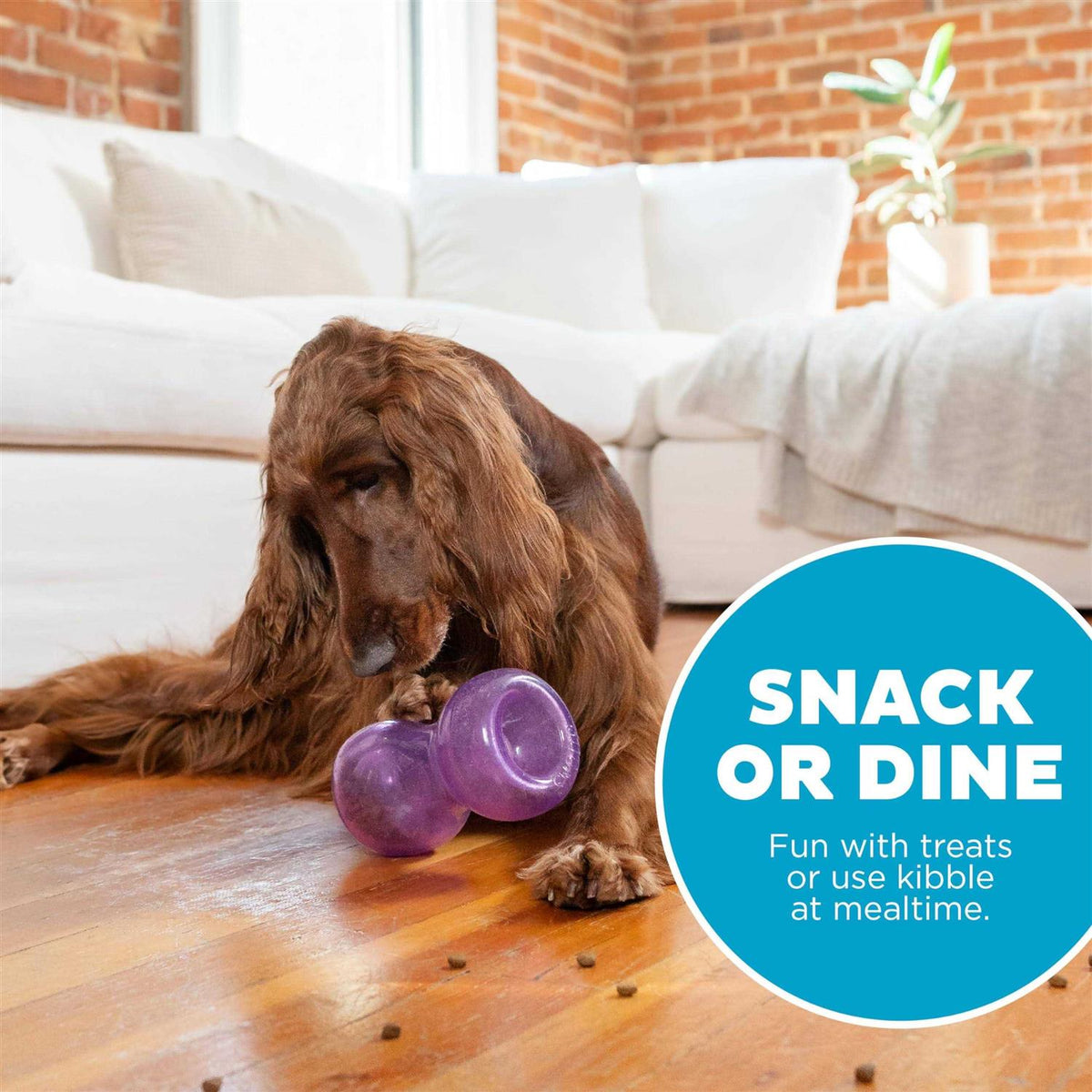 Durable Interactive Dog Toy U279