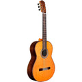 Natural Nylon String Classical Guitar J786