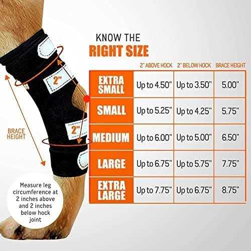 Dog Rear Leg Hock Metal Spring Strips Y2736