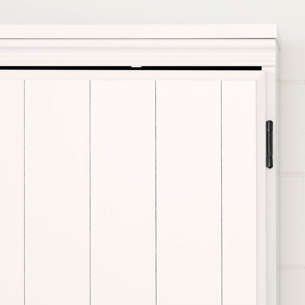 2-Door Storage Cabinet W42343