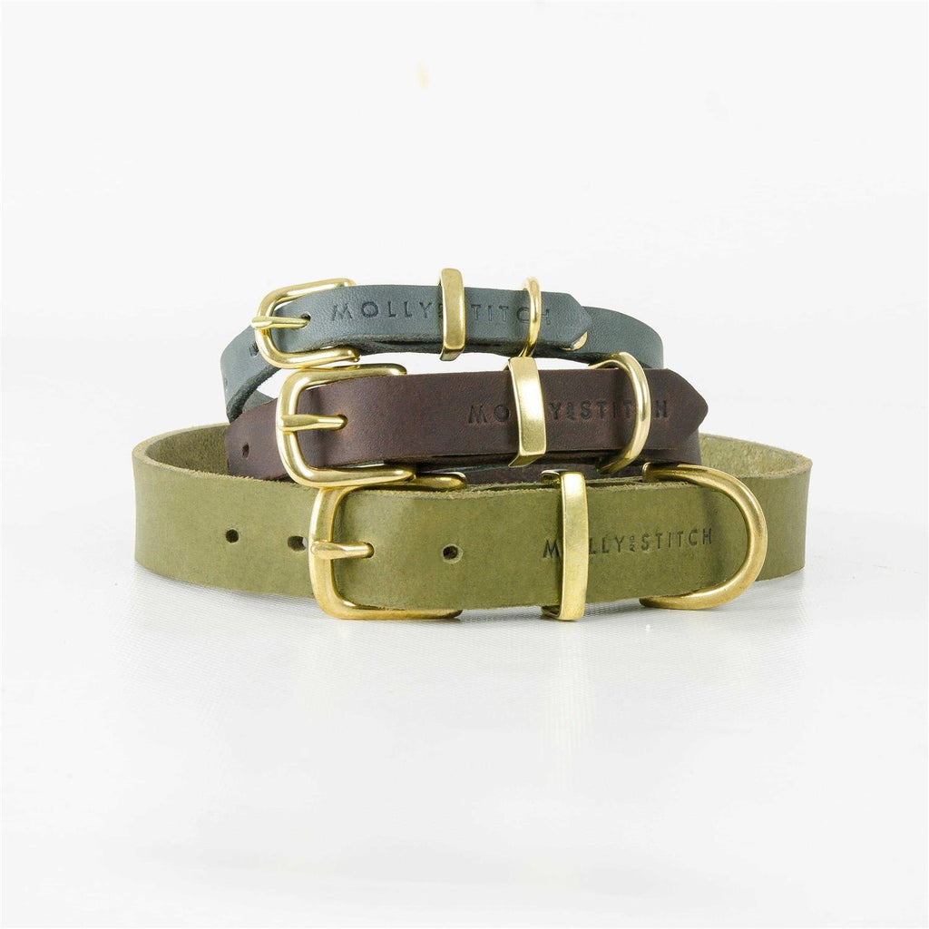 Leather Dog Collar B521644