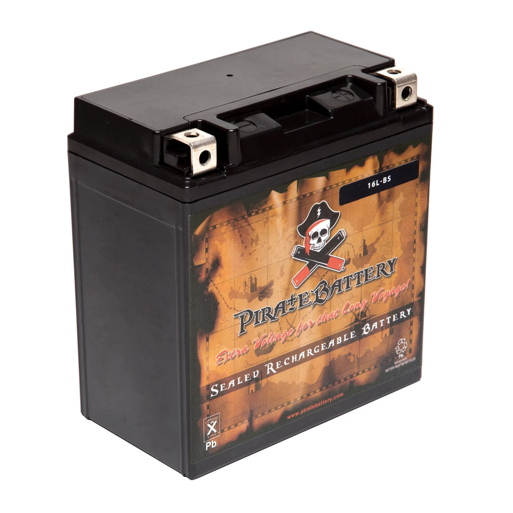 12 Volt 14 Ah 230 CCA ATV Battery V14115