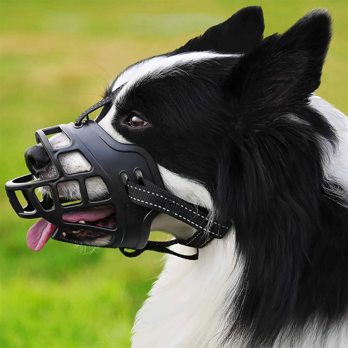 Dog Muzzle L910426