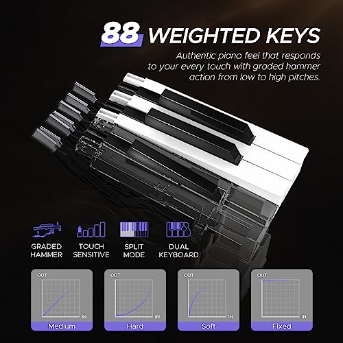 88 Key Full-Weighted Digital Piano Z502